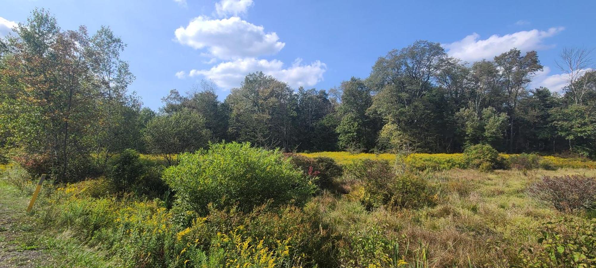 Unforgettable Autumn Foliage Pocono Getaway * Gouldsboro
