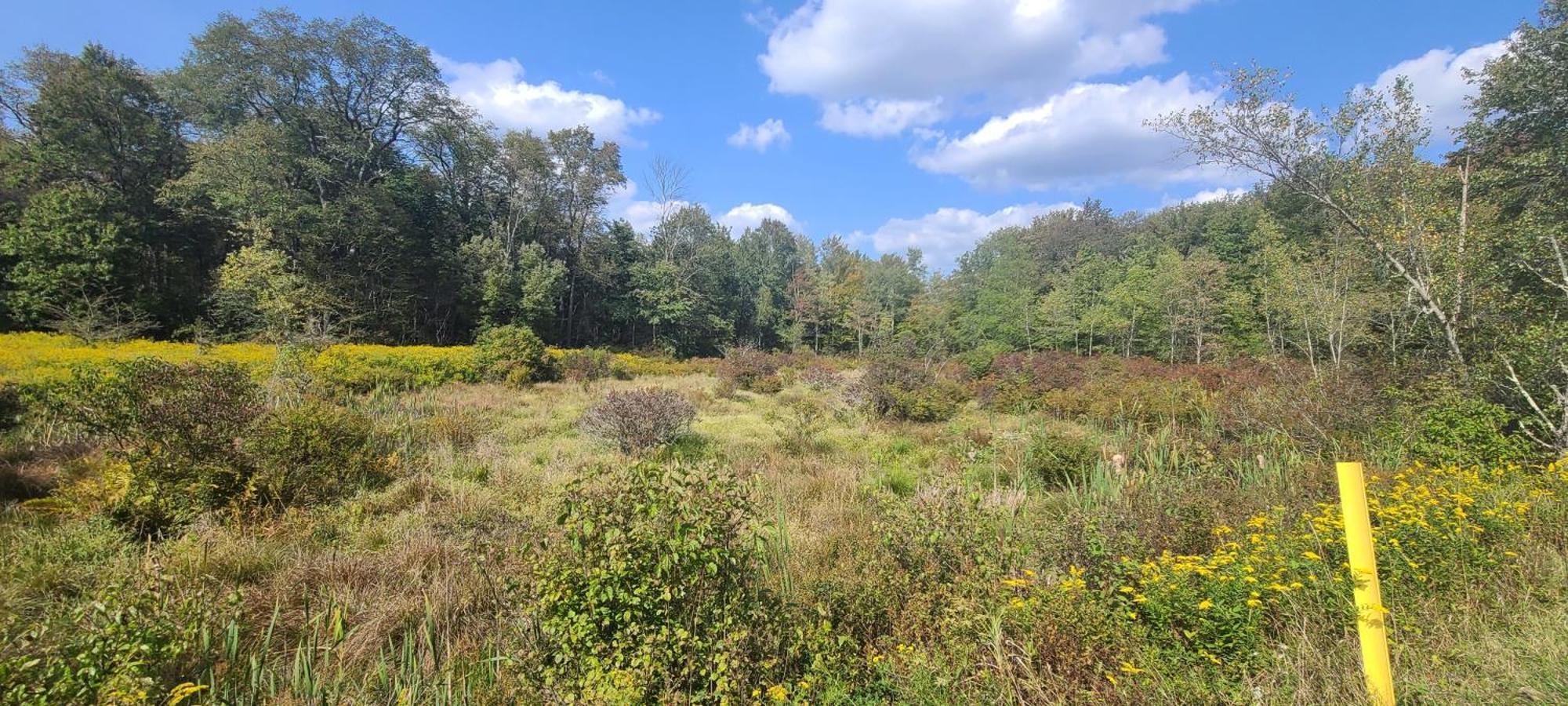 Unforgettable Autumn Foliage Pocono Getaway *